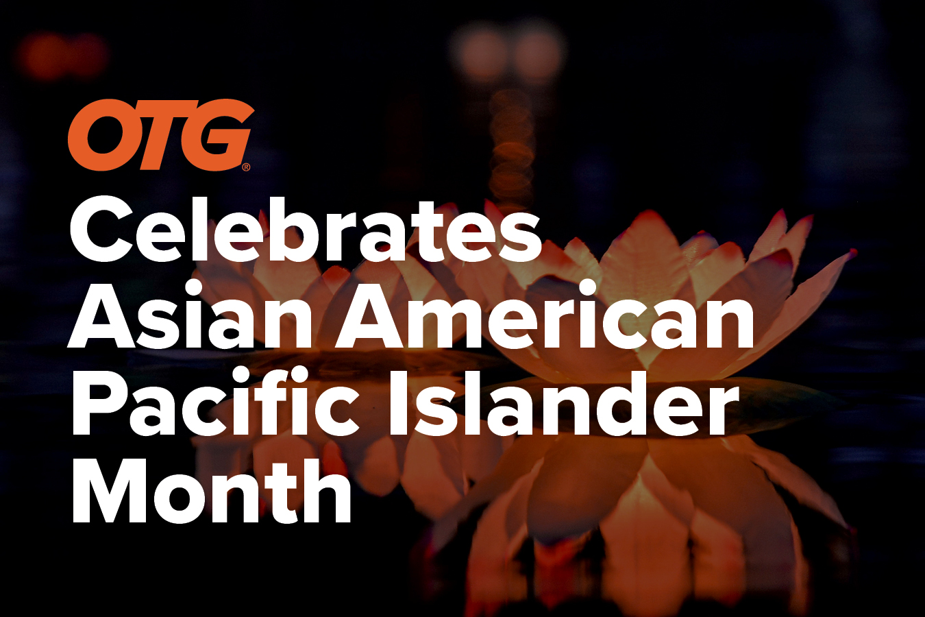 Asian American Pacific Islander Month